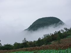 -武陵山森林公园