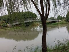 -广富林郊野公园