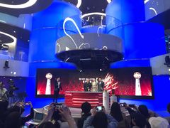 -凤凰中心