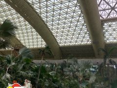 -杭州开元森泊度假乐园