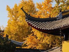-西园戒幢律寺