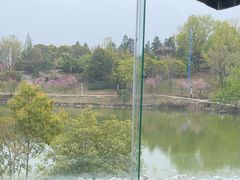 -仙林宾馆-餐厅
