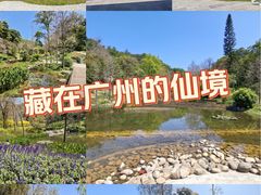 -云溪植物园