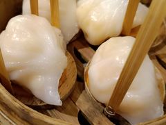 -金鼎轩(方庄天坛店)