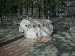android_upload_pic-辽宁大学(崇山校区)