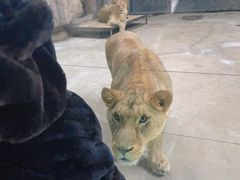 -鄂尔多斯野生动物园