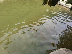 -云丘山景区