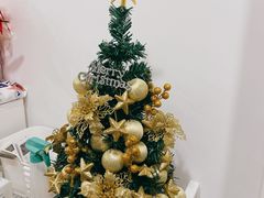 -有喵·猫咖·狗咖·30几只猫10只小狗(岗厦店)