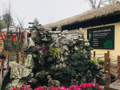 -二荆条·蜀鲜汇城市森林火锅