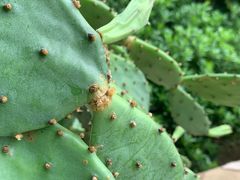 -南京奥林匹克体育中心-体育馆