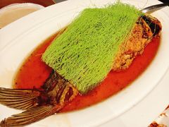 糖醋软溜黄河鲤鱼焙面-阿庄新豫菜(通泰路店)
