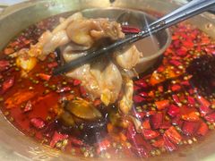 -哥老官重庆美蛙鱼头(西湖银泰十一哥店)