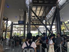 -飞天翼龙