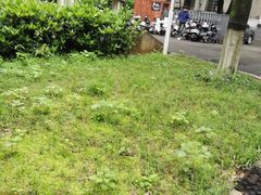 -湖南大学-中国书院博物馆