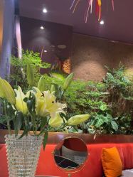 -花隐·美芙炫海菲秀皮肤管理中心