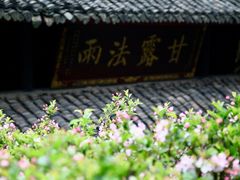 -峨眉山报国寺