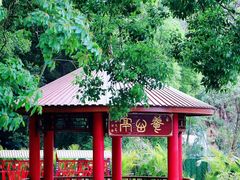 -东莞观音山旅游风景区
