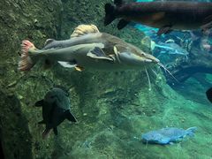 -珠海长隆海洋王国