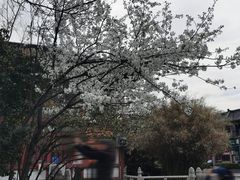 -南翔古镇