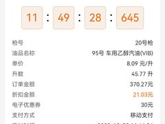 -中国石油徐东路加油站(武汉大道店)