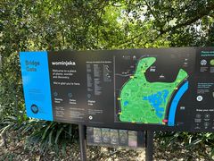 -墨尔本皇家植物园