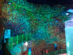 -青岛嘉年华主题乐园