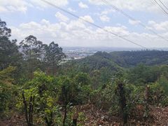 景点-滴水岩森林公园