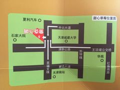 -甜心庄园·甜心草莓采摘园(西青中北店)