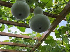 -中国天府农业博览园