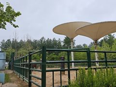 -秦皇岛野生动物园