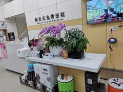 -凯瑞希宠物医院·狂犬免疫·微创·皮肤科
