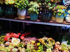 -三旗百汇商品城