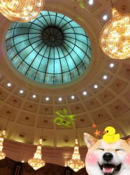 -苏宁环球套房饭店·宴会厅