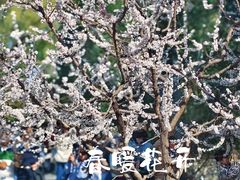 -颐和园