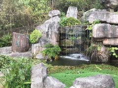 -广州神农草堂中医药博物馆