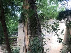 -西安关中民俗艺术博物院