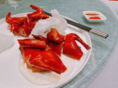 金牌妙龄鸽-鲍鱼王子(深圳大厦店)