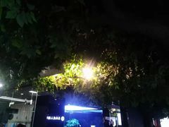 -北京圣典成人钢琴俱乐部(德思勤店)