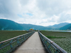 -腾冲北海湿地