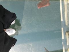 -石燕湖生态旅游景区