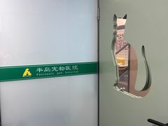 -半岛宠物医院24小时(科华中路店)