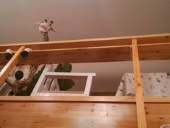 -长颈鹿咖啡(大学路店)