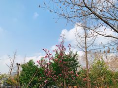 -USTC1958东区·by UNILAB