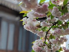 -雨花胜境