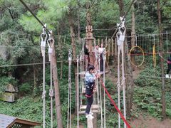 -梦幻奥陶纪景区