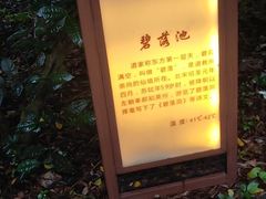 -英德宝晶宫天鹅湖茶语温泉