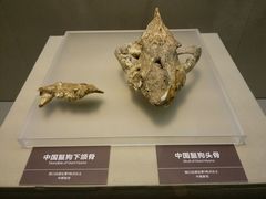 -嘉定博物馆