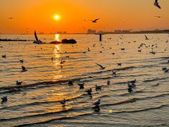 -老虎石海上公园