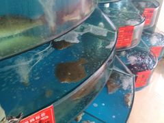 鲜活海鲜-聚德福海鲜家常菜(刘庄店)