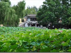-莲湖公园